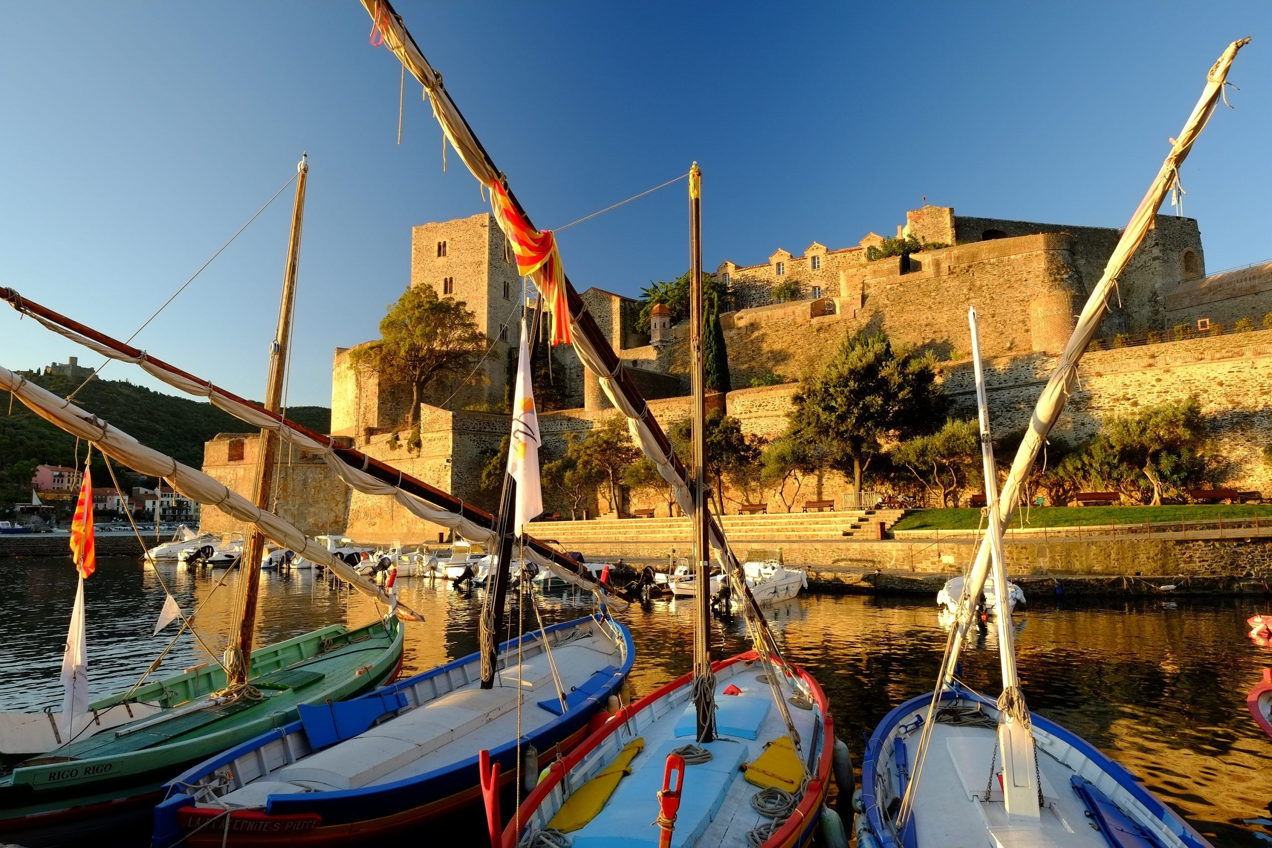 bateaux-collioure-hargence-ot-collioure-scaled-1